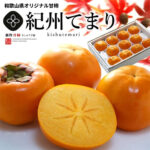 Kishu Demari | Sweet Persimmon (Seedless) | Wakayama Prefecture