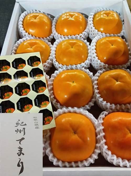 Kishu Demari | Sweet Persimmon (Seedless) | Wakayama Prefecture | 3L Size 12 Pcs