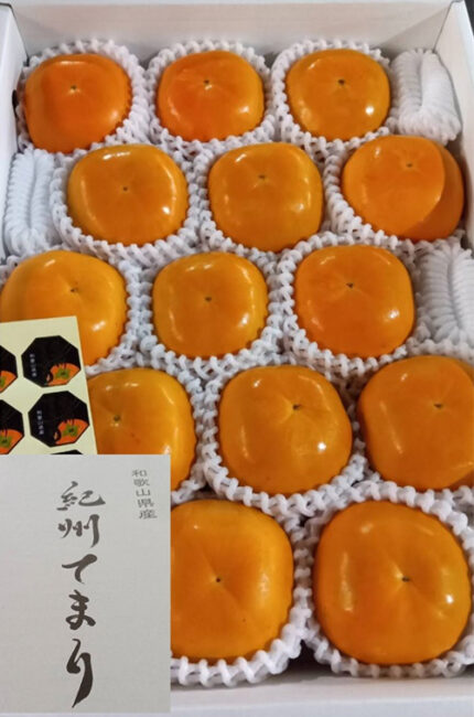 Kishu Demari | Sweet Persimmon (Seedless) | Wakayama Prefecture | L Size
