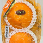 Kitaro Persimmon | Tottori Prefecture | 2L Size 2 Pcs