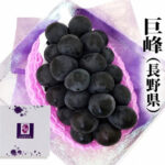 Shiga Kougen Kyoho Grapes (Seedless) | Nagano Prefecture | 500g
