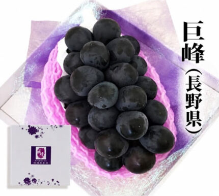 Shiga Kougen Kyoho Grapes (Seedless) | Nagano Prefecture | 500g