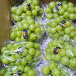 Shine Muscat Grapes (Hareo-Variety) | Akashu Grade | Okayama Prefecture | 600g