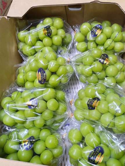 Shine Muscat Grapes (Hareo-Variety) | Akashu Grade | Okayama Prefecture | 600g