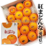 Beni Madonna Orange (Seedless) | Ehime Prefecture | L Size