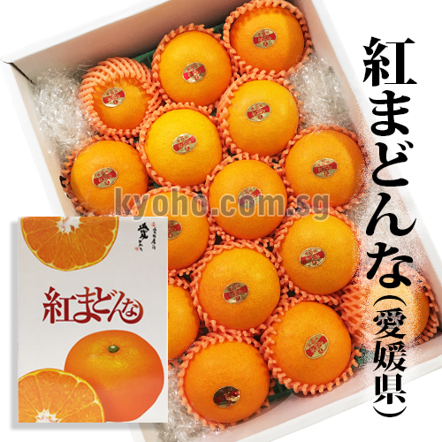 Beni Madonna Orange (Seedless) | Ehime Prefecture | L Size