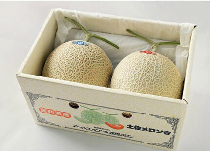 Arus Melon Mixed Set (Red • Green Flesh) | Kouchi Prefecture