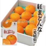 Beni Madonna Orange (Seedless) | Ehime Prefecture | 3L Size 10 Pcs