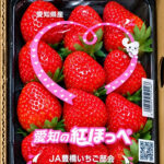 Benihoppe Strawberry | Aichi Prefecture | 1 Pack