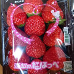 Benihoppei Strawberry | Aichi Prefecture | Pack