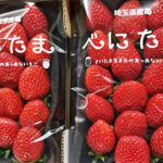 Benitama Strawberry | Saitama Prefecture