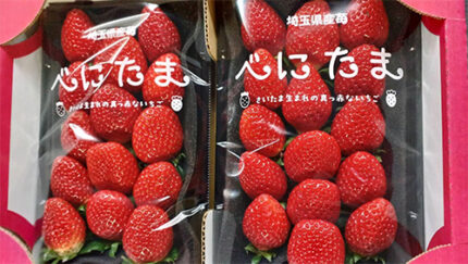 Benitama Strawberry | Saitama Prefecture