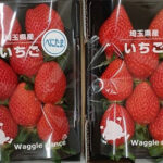 Benitama Strawberry (Premium Grade) | Saitama Prefecture | 2L Size