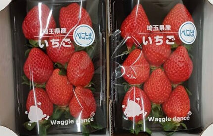Benitama Strawberry (Premium Grade) | Saitama Prefecture | 2L Size