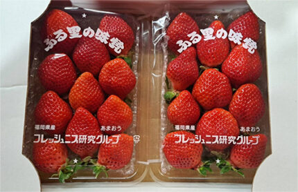 Furusatou Mikaku Amaou DX | Fukuoka Prefecture