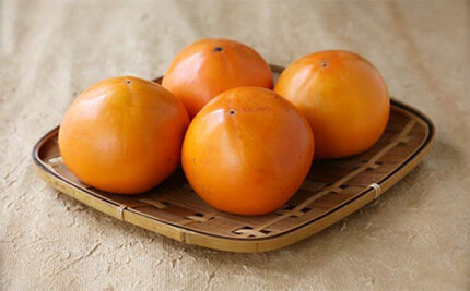 Hanagosho Persimmon | Tottori Prefecture | L Size