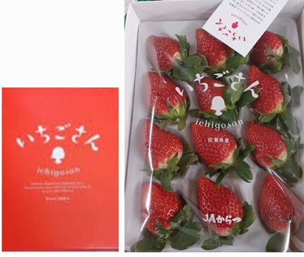 Ichigo San Strawberry | Saga Prefecture | Gift Box