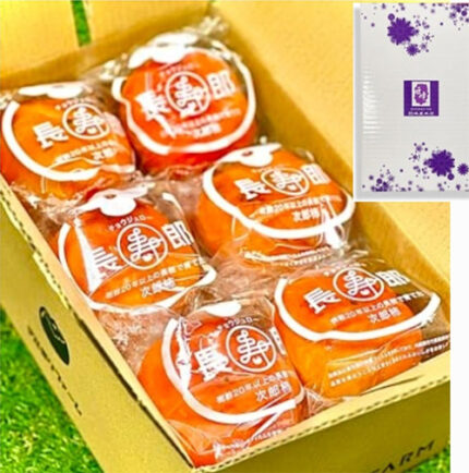 Jiro Kaki (Pack) | Shizuoka Prefecture | Gift Box