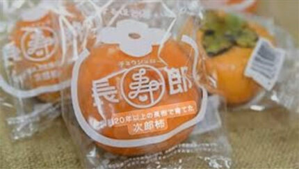 Jiro Kaki (Pack) | Shizuoka Prefecture | Pack