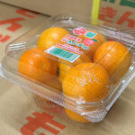 Kinkan (Kanquat) | Miyazaki Prefecture