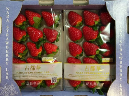 Kotoka Premium Strawberry | Nara Prefecture | L Size