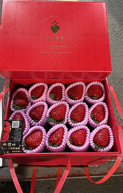 Kotoka Premium Strawberry | Nara Prefecture | Gift Box 14 Pcs
