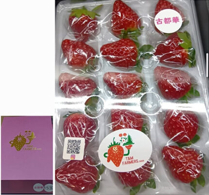Kotoka Strawberry (Premium Quality) | Nara Prefecture | Gift Box 15 Pcs