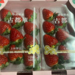 Kotoka Strawberry (Premium Quality) | Nara Prefecture | Pack