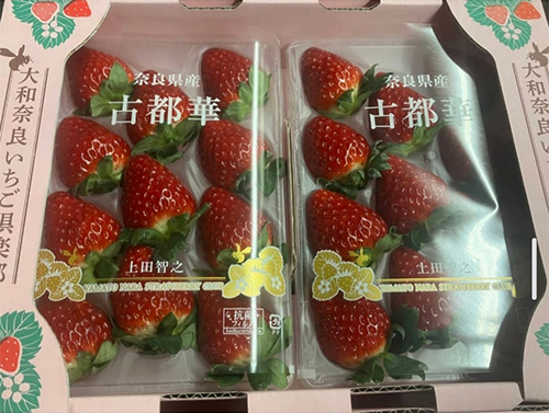 Kotoka Strawberry (Premium Quality) | Nara Prefecture | Pack