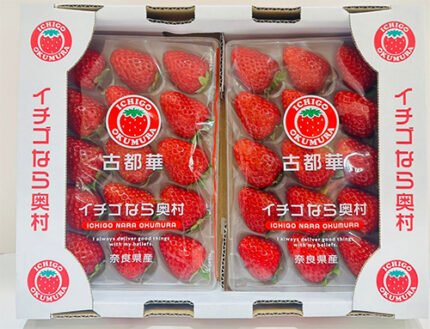 Kotoka Strawberry | From Nara Okamura (Premium Brand) | Nara Prefecture