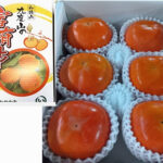 Kyudo Yama (Premium) Fuyu Persimmon | Wakayama Prefecture