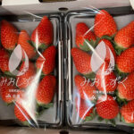 Mioshizuku (New Variety) | Shiga Prefecture | Pack