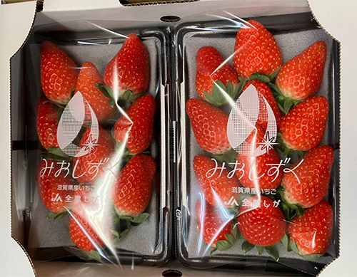 Mioshizuku (New Variety) | Shiga Prefecture | Pack