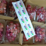 Grapes Oriental Star | Nagano Prefecture | 350g