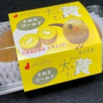 Sanuki Gold | World Biggest Kiwi Fruits | Kagawa Prefecture | 2 Pcs