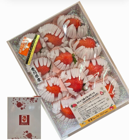 Sanukihime Strawberry | Kagawa Prefecture | Gift Box