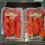 Skyberry Strawberry | Tochigi Prefecture | Pack 11 Pcs