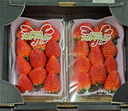Skyberry Strawberry | Tochigi Prefecture | Pack 11 Pcs