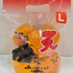 TEN - Kinnan Mikan Top | Wakayama Prefecture | L Size