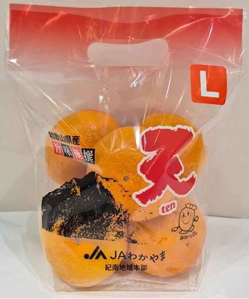 TEN - Kinnan Mikan Top | Wakayama Prefecture | L Size