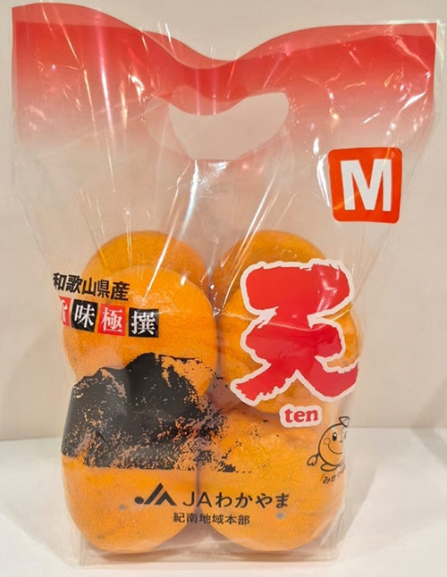 TEN - Kinnan Mikan Top | Wakayama Prefecture | M Size