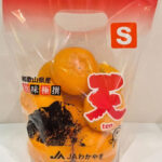 TEN - Kinnan Mikan Top | Wakayama Prefecture | S Size