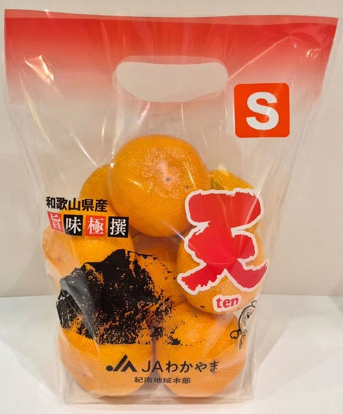 TEN - Kinnan Mikan Top | Wakayama Prefecture | S Size