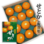 Setoka Orange (Seedless) | Saga Prefecture | 12 Pcs 3kg