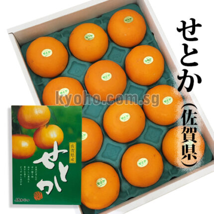 Setoka Orange (Seedless) | Saga Prefecture | 12 Pcs 3kg