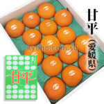 Kanpei Orange | Ehime Prefecture | 15 Pcs