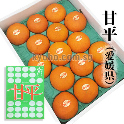 Kanpei Orange | Ehime Prefecture | 15 Pcs