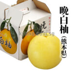 Banpeiyu Pomelo | Kumamoto Prefecture | 2L Size