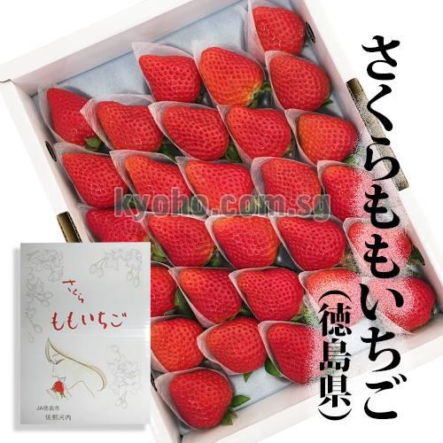 SAKURA MOMO Strawberry | Tokushima Prefecture | 28 Pcs