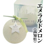 Yasu Emerald Melon | Kouchi Prefecture